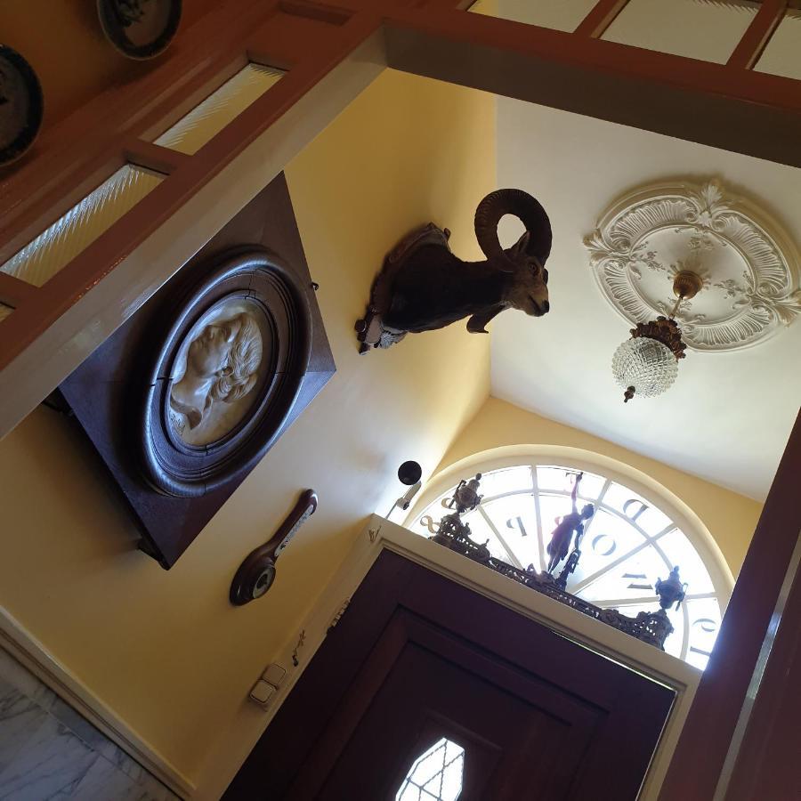 Deventer Heritage En Boutique B&B Museumhuis Huize "De Worp" Екстер'єр фото